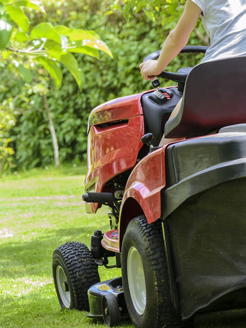 mowing-the-grass mowing-the-grass